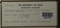 Image Associated With the Occurence